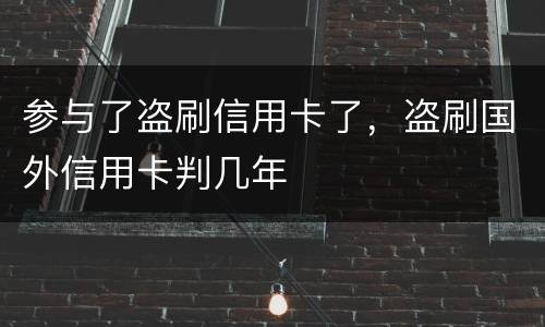 参与了盗刷信用卡了，盗刷国外信用卡判几年