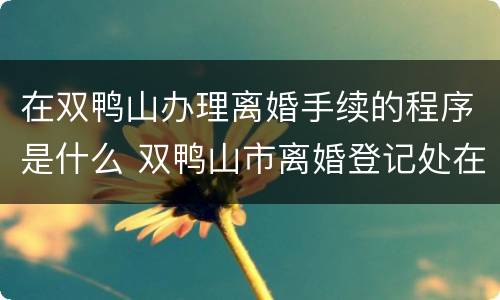 在双鸭山办理离婚手续的程序是什么 双鸭山市离婚登记处在哪