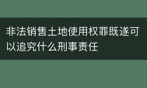 非法销售土地使用权罪既遂可以追究什么刑事责任