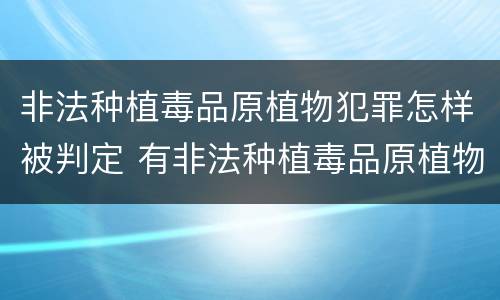 非法种植毒品原植物犯罪怎样被判定 有非法种植毒品原植物罪吗