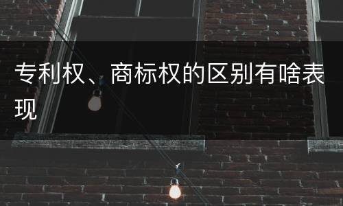 专利权、商标权的区别有啥表现