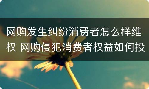 网购发生纠纷消费者怎么样维权 网购侵犯消费者权益如何投诉