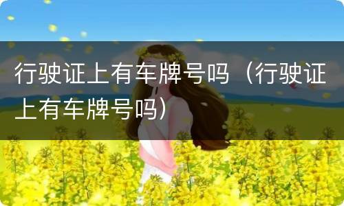 行驶证上有车牌号吗（行驶证上有车牌号吗）