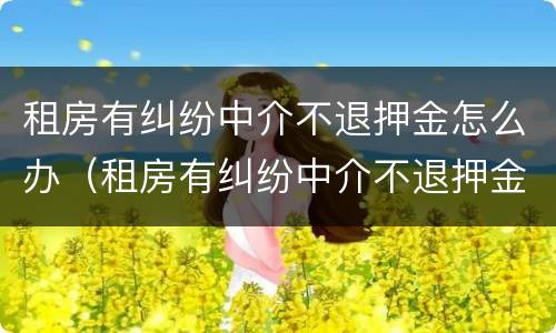 租房有纠纷中介不退押金怎么办（租房有纠纷中介不退押金怎么办理）