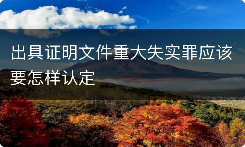 出具证明文件重大失实罪应该要怎样认定