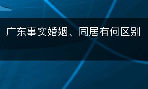 广东事实婚姻、同居有何区别