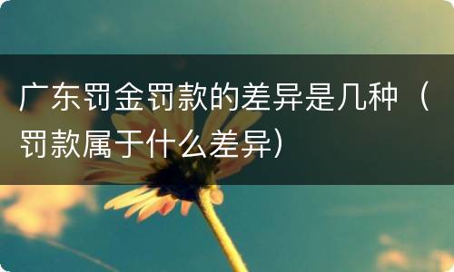 广东罚金罚款的差异是几种（罚款属于什么差异）