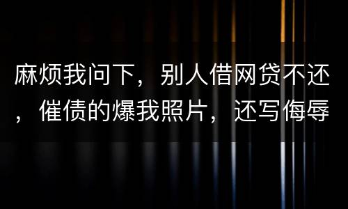 麻烦我问下，别人借网贷不还，催债的爆我照片，还写侮辱的话，犯法么，我要怎么做