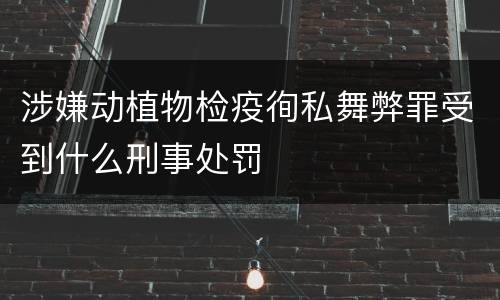 涉嫌动植物检疫徇私舞弊罪受到什么刑事处罚