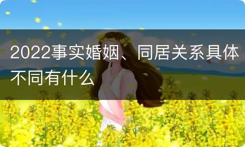 2022事实婚姻、同居关系具体不同有什么