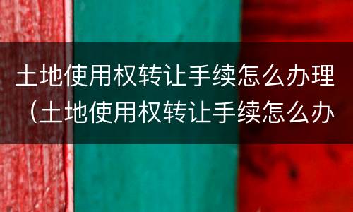 土地使用权转让手续怎么办理（土地使用权转让手续怎么办理的）