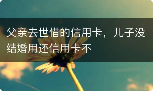 父亲去世借的信用卡，儿子没结婚用还信用卡不