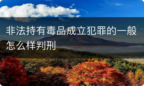 非法持有毒品成立犯罪的一般怎么样判刑
