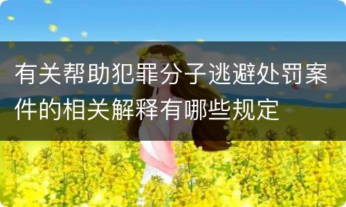有关帮助犯罪分子逃避处罚案件的相关解释有哪些规定