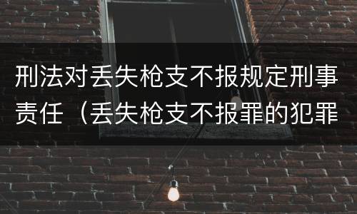刑法对丢失枪支不报规定刑事责任（丢失枪支不报罪的犯罪主体只能是）