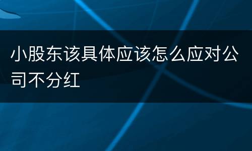 小股东该具体应该怎么应对公司不分红