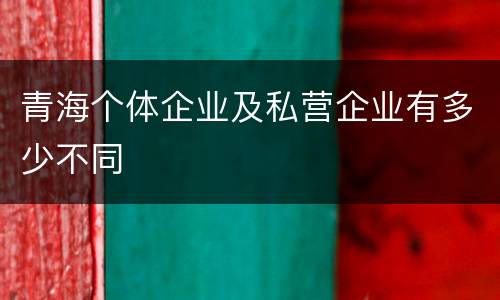 青海个体企业及私营企业有多少不同