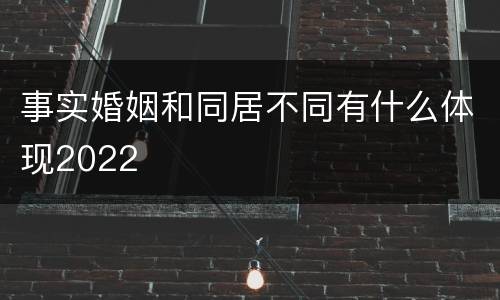 事实婚姻和同居不同有什么体现2022