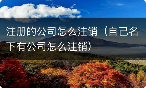 注册的公司怎么注销（自己名下有公司怎么注销）