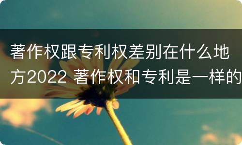 著作权跟专利权差别在什么地方2022 著作权和专利是一样的吗