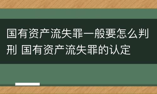 国有资产流失罪一般要怎么判刑 国有资产流失罪的认定