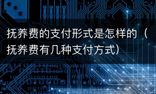 抚养费的支付形式是怎样的（抚养费有几种支付方式）