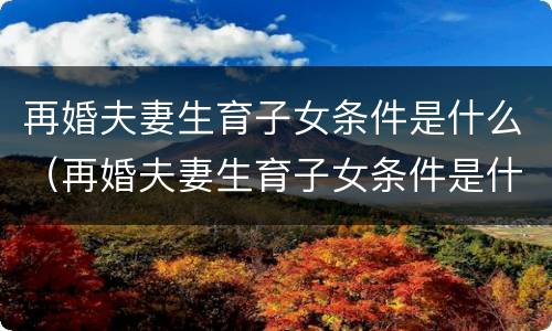 再婚夫妻生育子女条件是什么（再婚夫妻生育子女条件是什么呢）