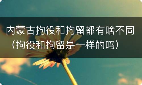 内蒙古拘役和拘留都有啥不同（拘役和拘留是一样的吗）