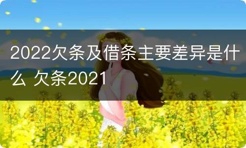 2022欠条及借条主要差异是什么 欠条2021