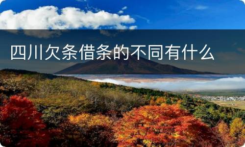 四川欠条借条的不同有什么