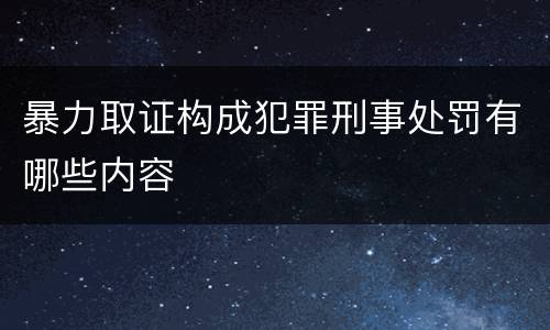 暴力取证构成犯罪刑事处罚有哪些内容