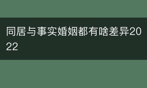 同居与事实婚姻都有啥差异2022