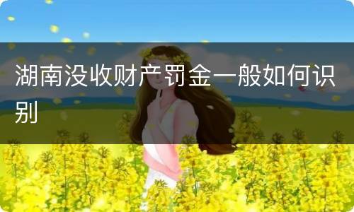 湖南没收财产罚金一般如何识别