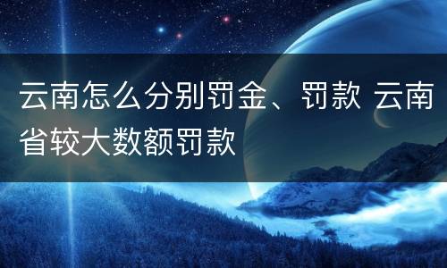云南怎么分别罚金、罚款 云南省较大数额罚款