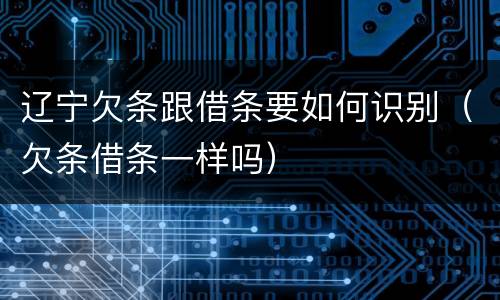 辽宁欠条跟借条要如何识别（欠条借条一样吗）