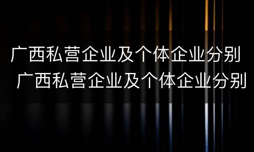 广西私营企业及个体企业分别 广西私营企业及个体企业分别有多少家