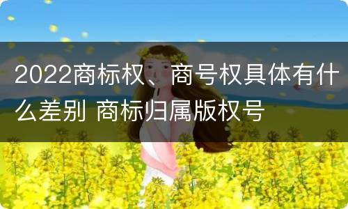 2022商标权、商号权具体有什么差别 商标归属版权号