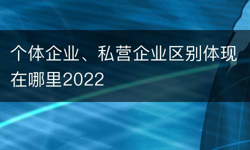 个体企业、私营企业区别体现在哪里2022