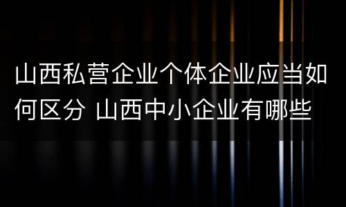 山西私营企业个体企业应当如何区分 山西中小企业有哪些