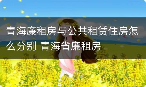 青海廉租房与公共租赁住房怎么分别 青海省廉租房