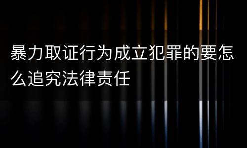 暴力取证行为成立犯罪的要怎么追究法律责任