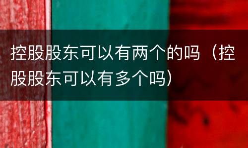 控股股东可以有两个的吗（控股股东可以有多个吗）
