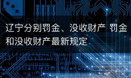 辽宁分别罚金、没收财产 罚金和没收财产最新规定