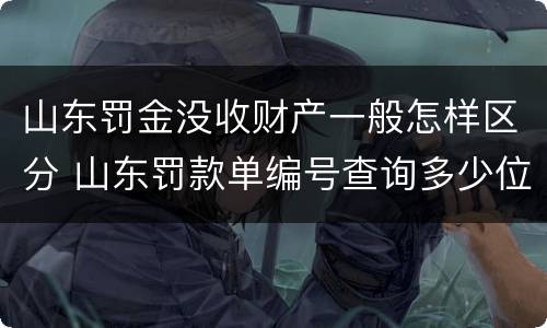 山东罚金没收财产一般怎样区分 山东罚款单编号查询多少位