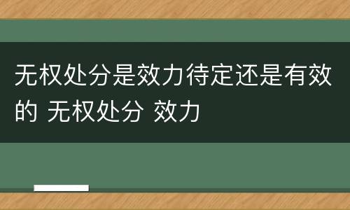 无权处分是效力待定还是有效的 无权处分 效力