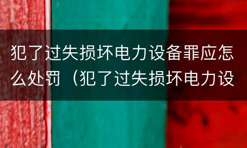 犯了过失损坏电力设备罪应怎么处罚（犯了过失损坏电力设备罪应怎么处罚呢）