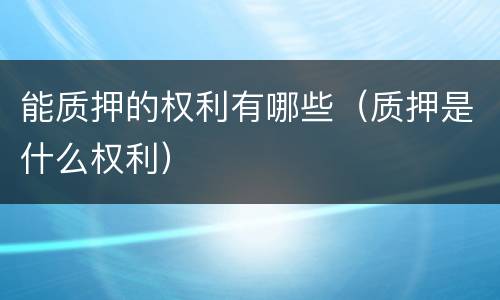能质押的权利有哪些（质押是什么权利）