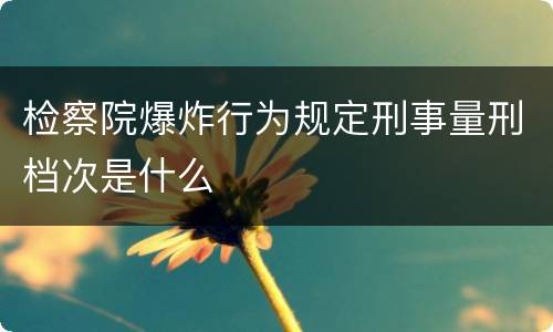 检察院爆炸行为规定刑事量刑档次是什么