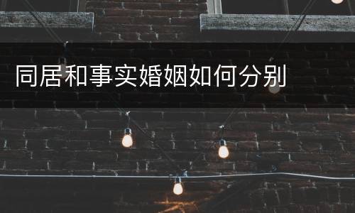 同居和事实婚姻如何分别