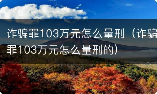诈骗罪103万元怎么量刑（诈骗罪103万元怎么量刑的）